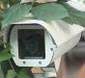Videokamera